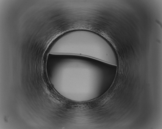 X0000102030580200807181009