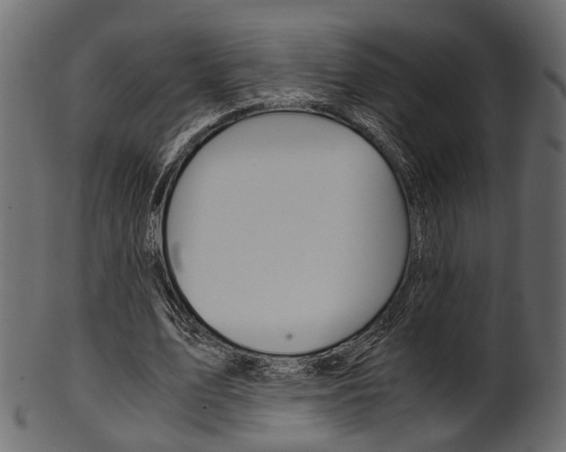 X0000102030583200807181008