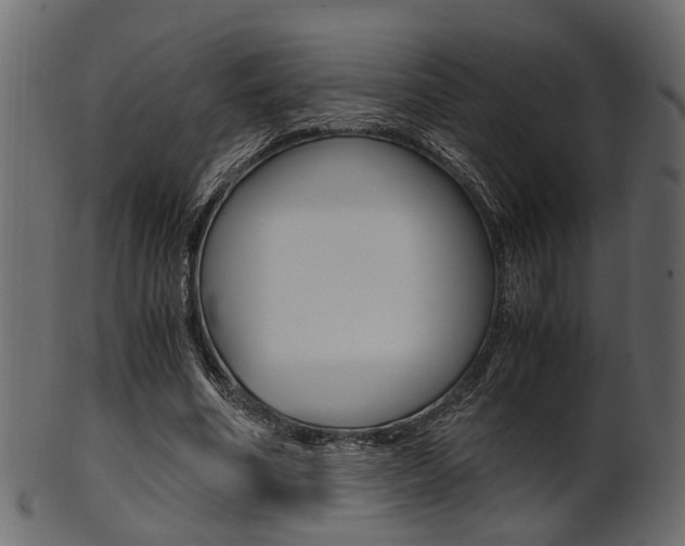 X0000102030586200807181008