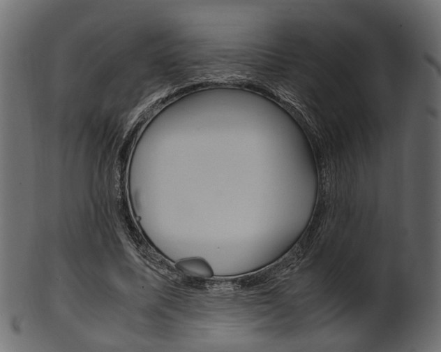 X0000102030587200807181008