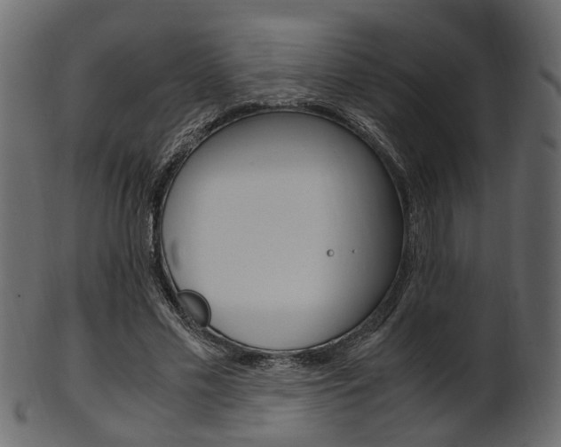 X0000102030589200807181008