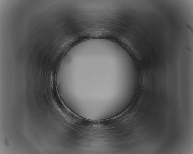 X0000102030590200807181008