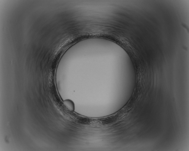 X0000102030591200807181008