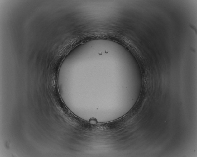 X0000102030593200807181008