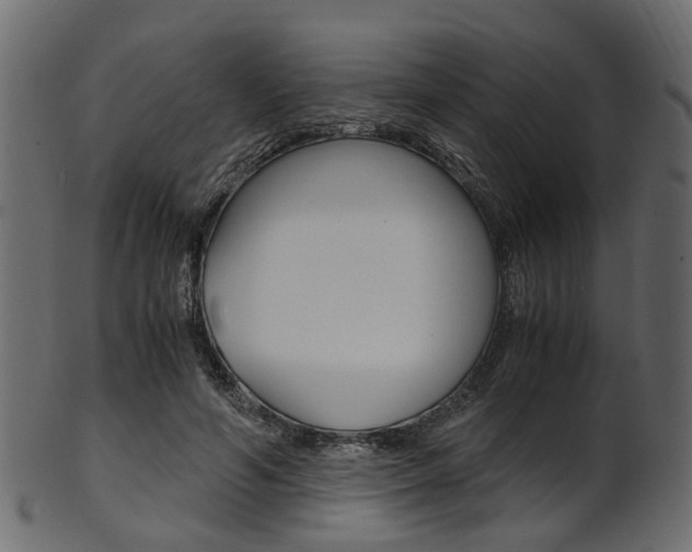 X0000102030594200807181008