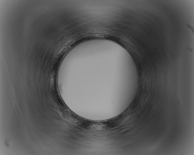 X0000102030595200807181008