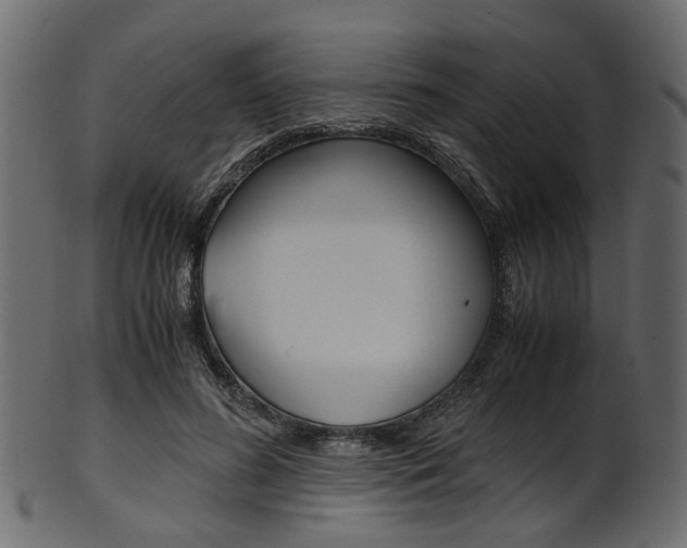 X0000102030596200807181008