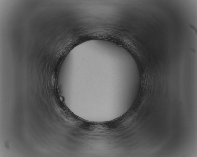 X0000102030597200807181008