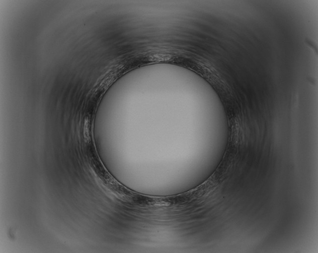 X0000102030598200807181008