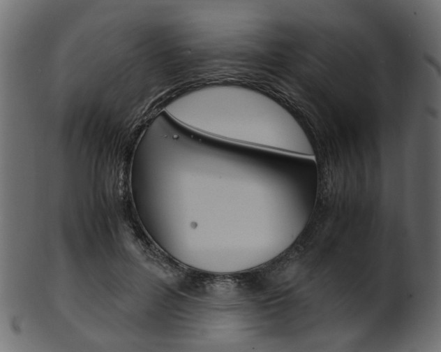 X0000102030600200807181008