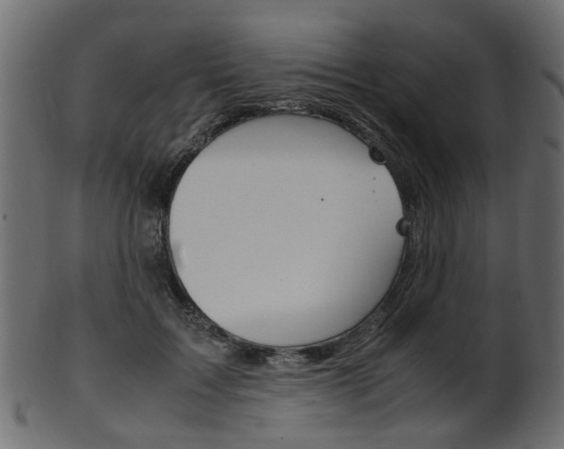 X0000102030603200807181008