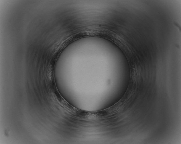 X0000102030604200807181008