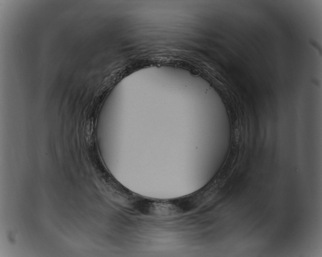 X0000102030605200807181008