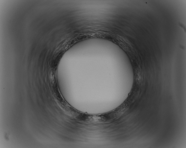 X0000102030607200807181008