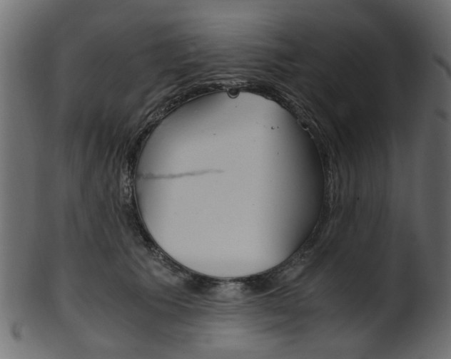 X0000102030609200807181008