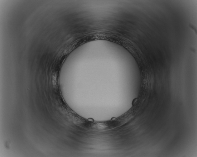 X0000102030610200807181008