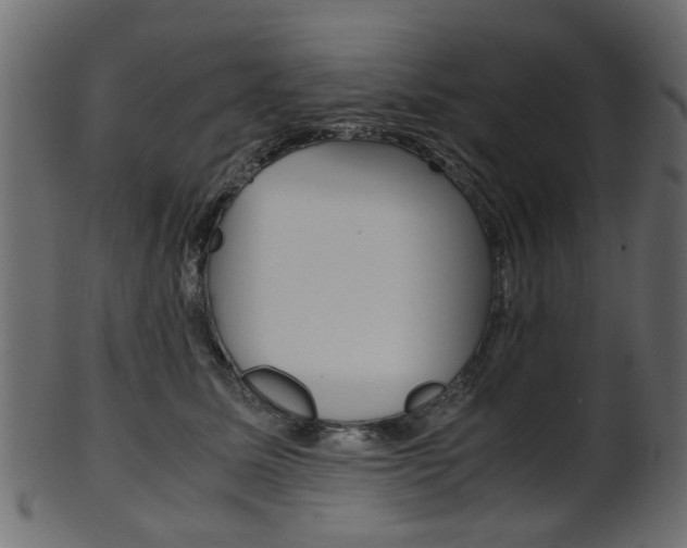 X0000102030611200807181008