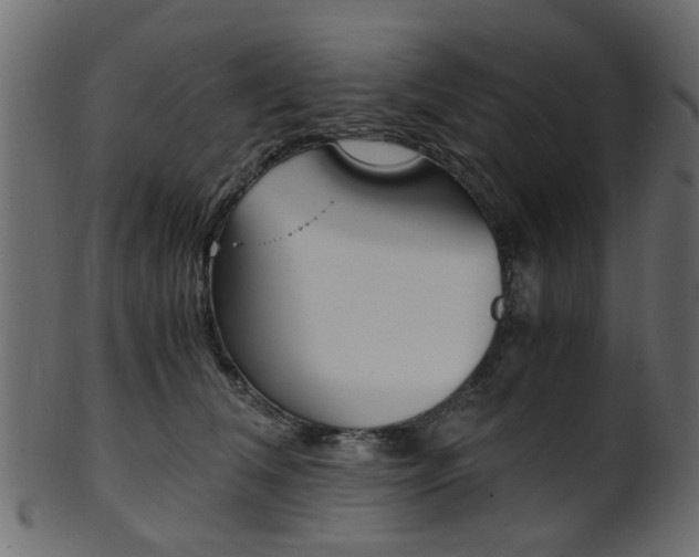 X0000102030612200807181008