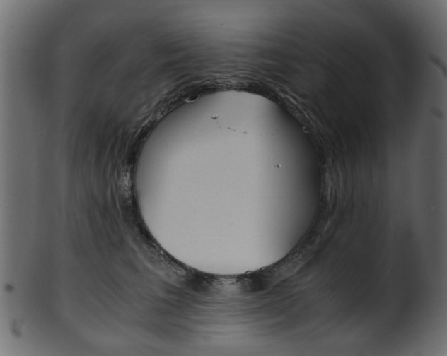 X0000102030613200807181008