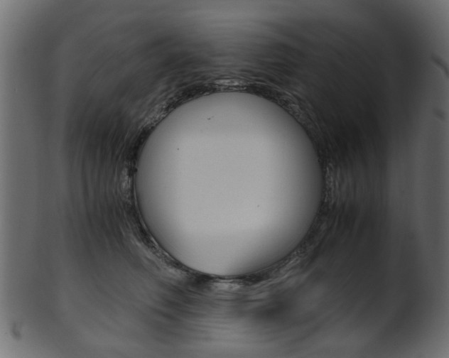 X0000102030614200807181008