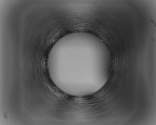 X0000102030615200807181008