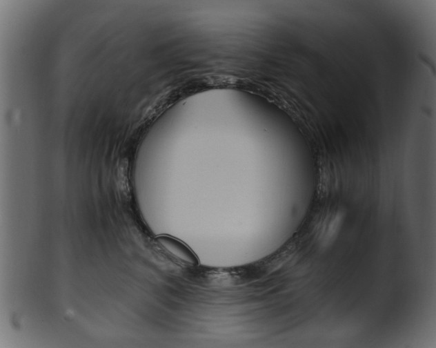 X0000102030616200807181008