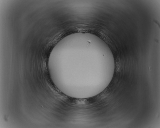 X0000102030618200807181008