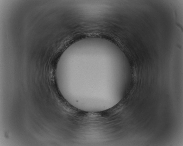 X0000102030619200807181008