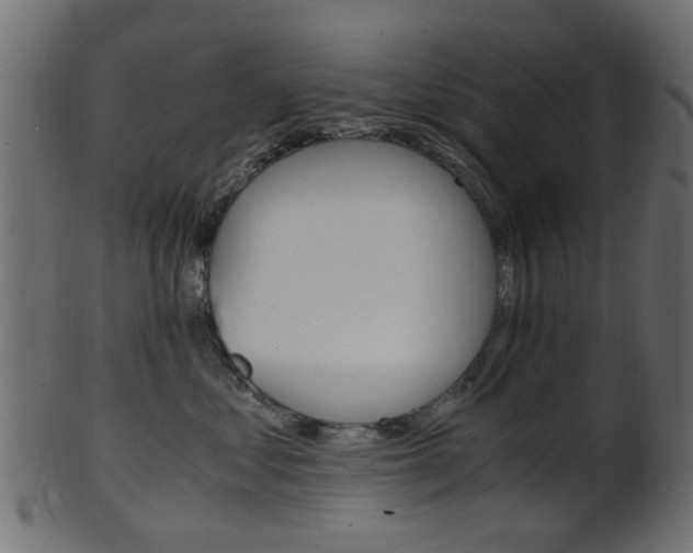 X0000102030621200807181008