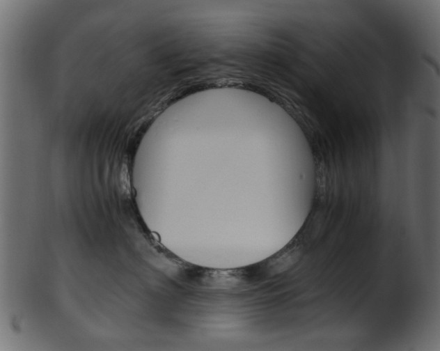 X0000102030622200807181008