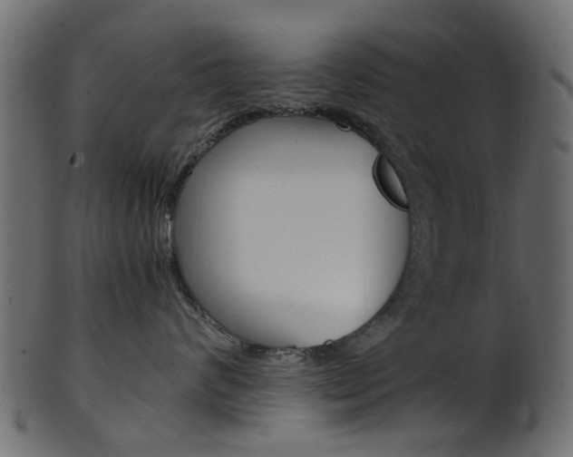 X0000102030624200807181008