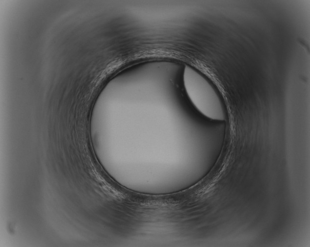 X0000102030625200807181007