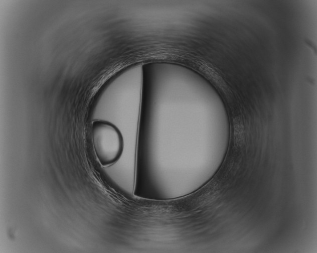 X0000102030626200807181007