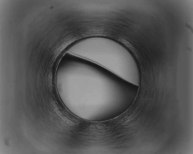 X0000102030627200807181007