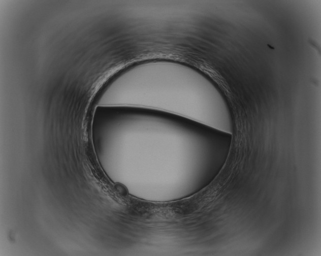 X0000102030628200807181007