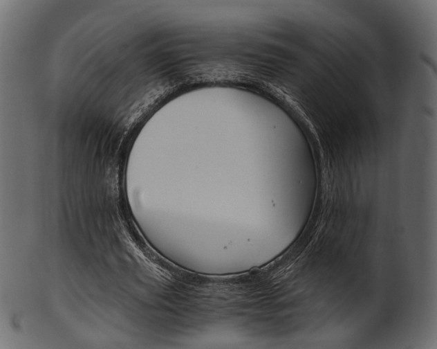 X0000102030629200807181007