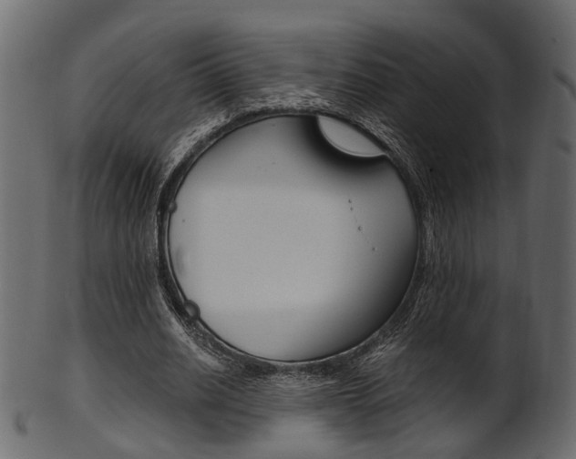 X0000102030630200807181007