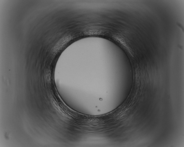 X0000102030631200807181007