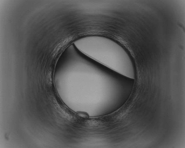 X0000102030633200807181007