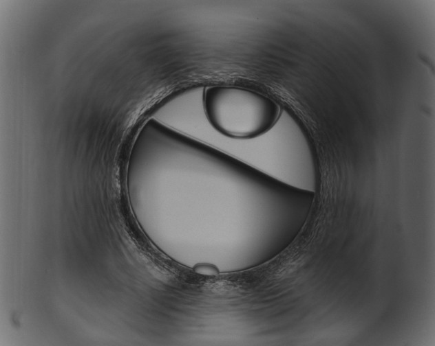 X0000102030634200807181007