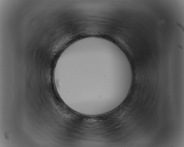 X0000102030635200807181007