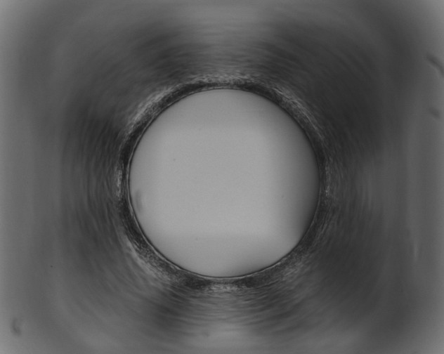 X0000102030636200807181007