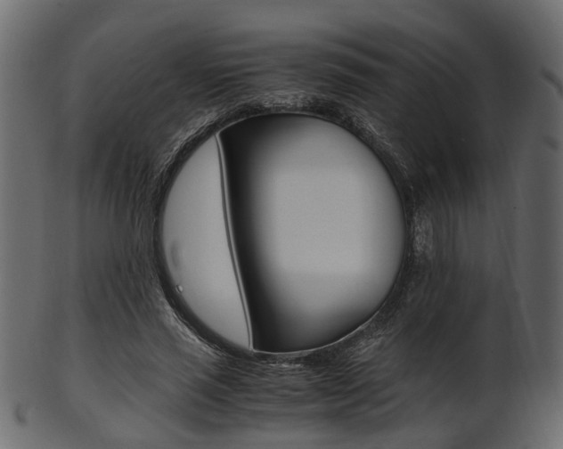 X0000102030637200807181007