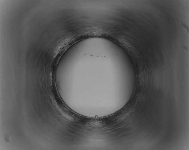 X0000102030638200807181007