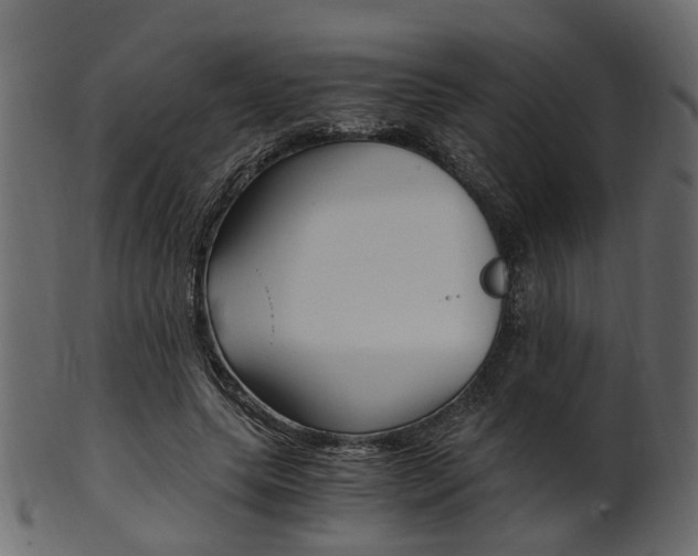 X0000102030639200807181007