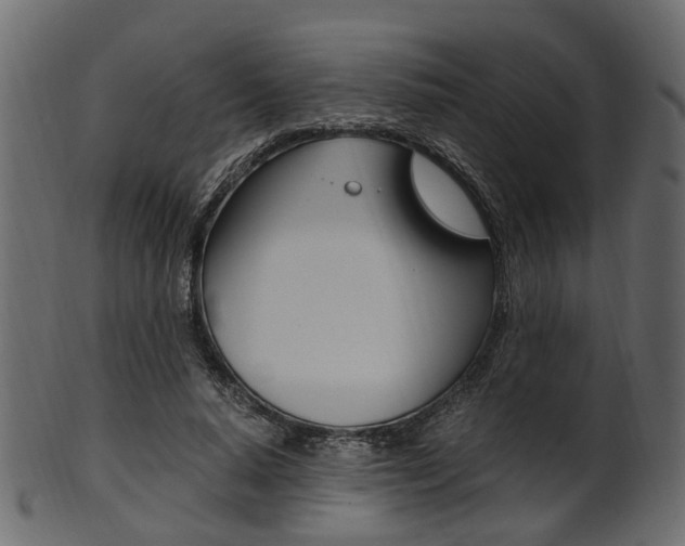 X0000102030640200807181007