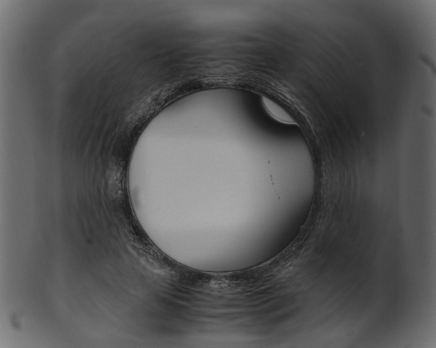 X0000102030641200807181007