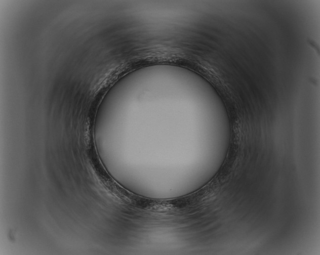 X0000102030642200807181007