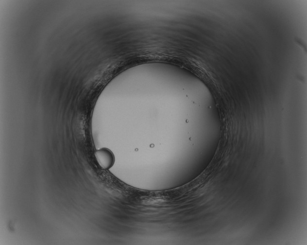 X0000102030643200807181007