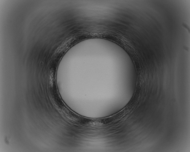 X0000102030644200807181007